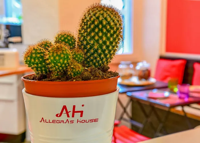 Allegra's House Caracciolo Řím